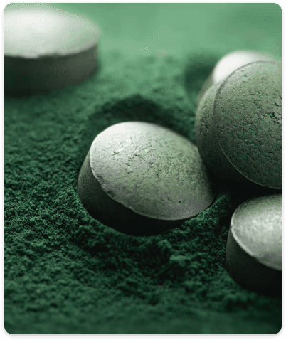 Supplement tablets